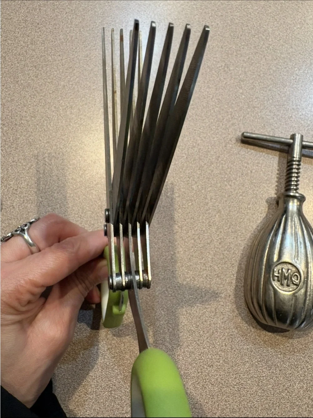 Kitchen Tool Lot: Stainless Steel Garlic Press + Scoop + Green-Handled Scissors
